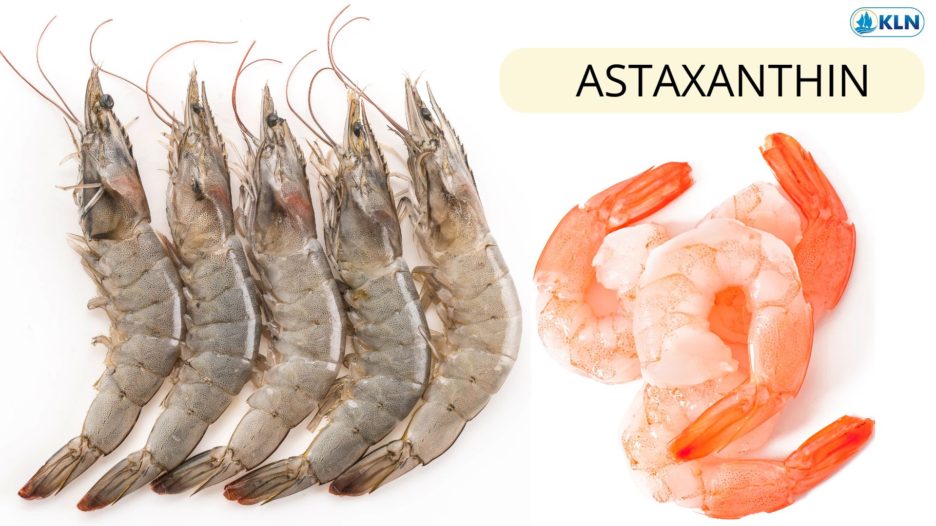 ASTAXANTHIN